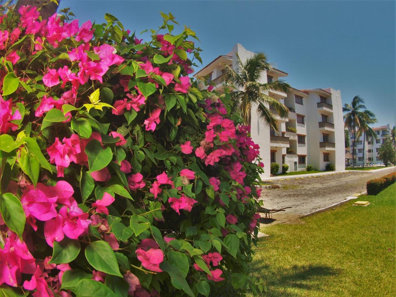 Suites Las Palmas Hotel Y Villas Manzanillo Ngoại thất bức ảnh
